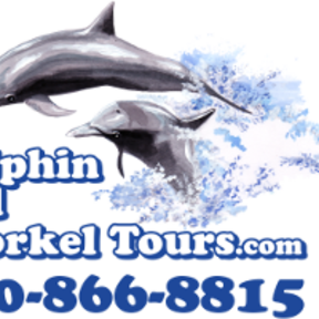 Dolphin & Snorkel Tours