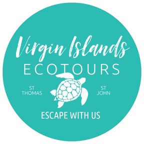 Virgin Island Eco Tours