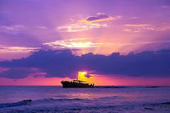 Create Listing: Sunset Cruise  - Sightseeing and Dolphin Excursion