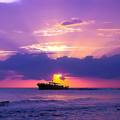 Create Listing: Sunset Cruise  - Sightseeing and Dolphin Excursion
