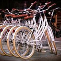 Create Listing: Bike Rentals, Beach Cruisers - Set Your Own Pace