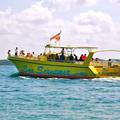 Create Listing: Sea Screamer Cruise  - Panama City Beach - 2 Hours