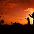 Create Listing: Guided Quail Hunts - Bienville Plantation - Full Day