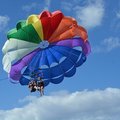 Create Listing: Parasailing - See the Dolphin, Turtles & Manatees