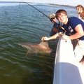 Create Listing: Shark Fishing Charters - August to December/4 Hours