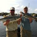 Create Listing: Snook Fishing Charters - January to March/ 4 Hours