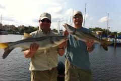 Create Listing: Snook Fishing Charters - January to March/6 Hours
