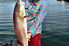 Create Listing: Redfish Fishing Charters - January to March/4 Hours