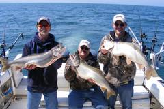Create Listing: WALLEYE AND TROUT  (1-5 ANGLERS)
