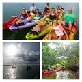 Create Listing: Kayak Tour - Mangrove Lazy River - 1 hour/1 mile