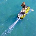 Create Listing: EcoBoard Rentals -  Electric Jet Surfboards & Paddleboards