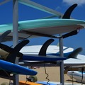 Create Listing: Paddleboard Lessons and Rentals