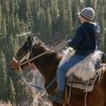 Create Listing: Horseback Riding - Tours & Guides|Experiences