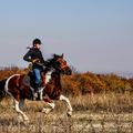 Create Listing: Horseback Riding - Tours & Guides