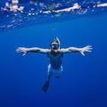 Create Listing: Diving & Snorkeling - Tours & Guides
