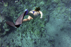 Create Listing: Diving & Snorkeling - Equipment/Gear