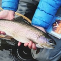 Create Listing: Freshwater Fishing - Tours & Guides