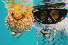 Create Listing: Diving & Snorkeling - Equipment/Gear|Experiences
