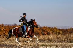 Create Listing: Horseback Riding - Experiences