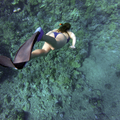 Create Listing: Diving & Snorkeling - Equipment/Gear|Experiences