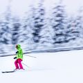 Create Listing: Downhill Skiing - Tours & Guides