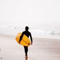 Create Listing: Surfing - Equipment/Gear