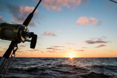 Create Listing: Saltwater Offshore Fishing - Tours & Guides