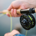 Create Listing: Fly Fishing - Equipment/Gear