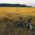 Create Listing: Mountain Bikes - Experiences