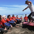 Create Listing: 1 Day surf lesson