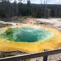 Create Listing: Private Yellowstone Tour (5 People)
