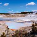 Create Listing: Private Yellowstone Tour (9 People)