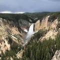 Create Listing: Private Yellowstone Tour (11 People)