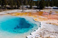 Create Listing: Private Yellowstone Tour (12 People)