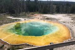 Create Listing: Private Yellowstone Tour -  (14 People)