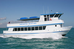 Create Listing: Glass-Bottom Boat Cruises in Key Largo