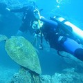 Create Listing: Discover Scuba - 1-Day Resort Course
