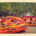 Create Listing: Kayak and Paddleboard Rentals (Full Day/24 hours)