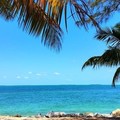 Create Listing: Key West and Florida Keys City Tour