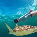 Create Listing: 2 Hour Turtle Snorkeling & Ocean Sports