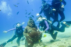Create Listing: Discover Scuba Diving