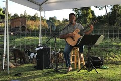 Create Listing: Sunset Maui Goat Yoga with Live Music