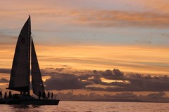 Create Listing: Paragon Performance Sunset Sail