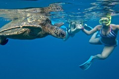 Create Listing: SUP "Turtle Town" Snorkel