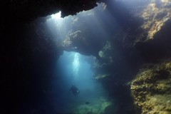 Create Listing: Lava Tube Dives - North Shore
