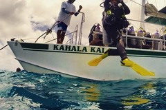 Create Listing: 2 Tank Shallow Reef Boat Dives - Waikiki