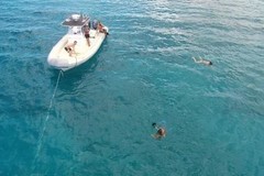 Create Listing: Adventure Boat/Snorkel Tour