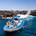 Create Listing: Dolphin Eco-Adventure & Reef Snorkel