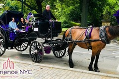 Create Listing: Horse and Carriage Tour