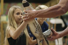 Create Listing: Youth Gator Trainer Experience